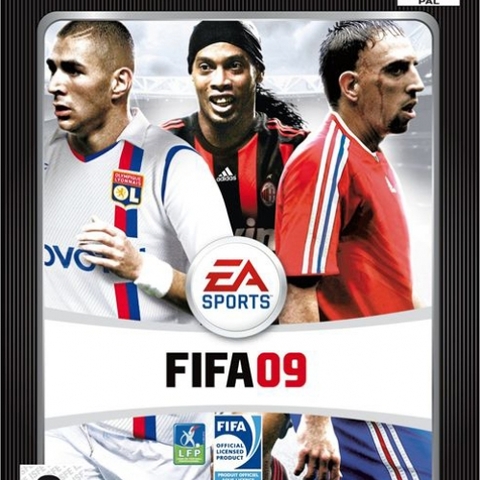 FIFA 2009 (platinum)